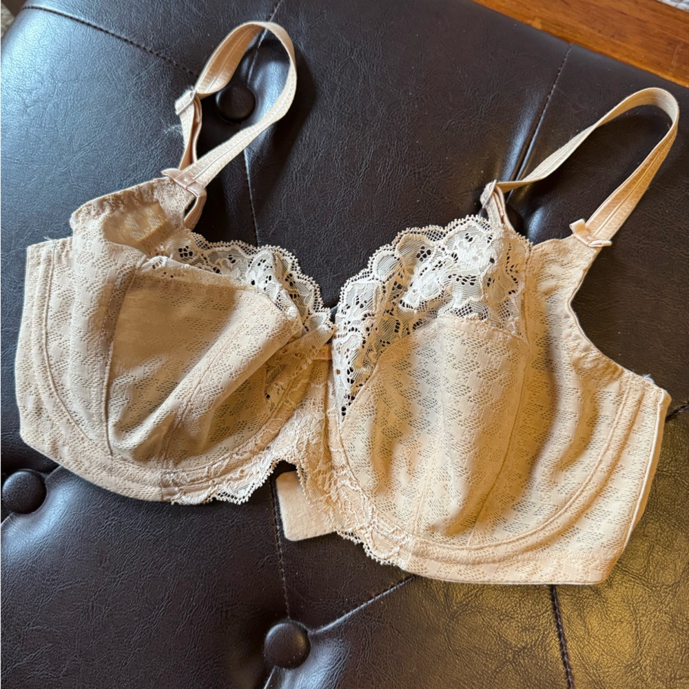 Panache Envy Lace Accented Cream Br30F